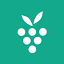 Berrycast Transcripts (Powered by AI) Logo