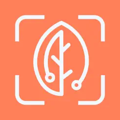 BiteRight Logo