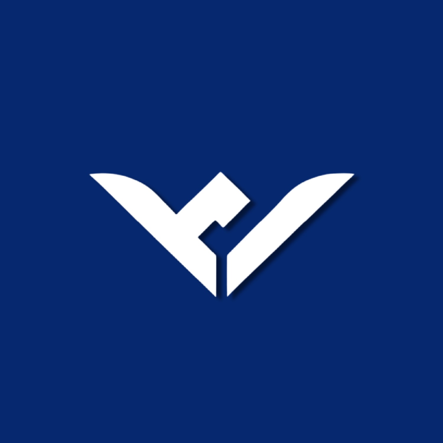 HyggeX Logo
