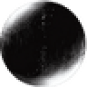 Intellecta Logo