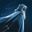 iyiai - Chat Across Dimensions Logo