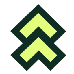 Leaderr.io Logo