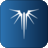 Lite Queen Logo
