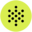 Poly ai ai Logo