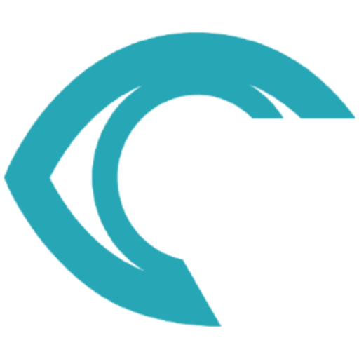 rsipvision.com Logo