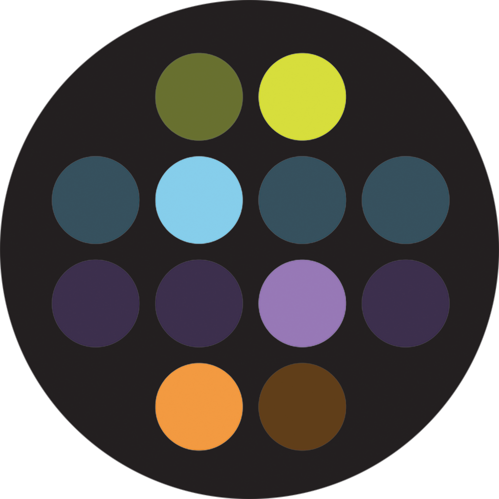 Seenapse Logo