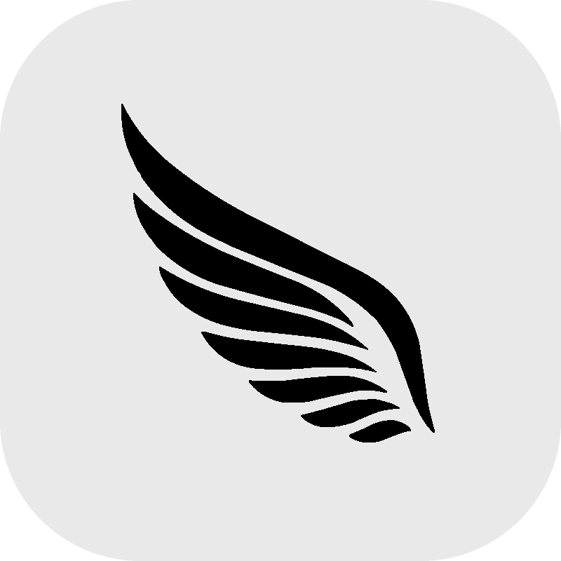 Vly AI Logo