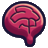 Zenquiz.app Logo
